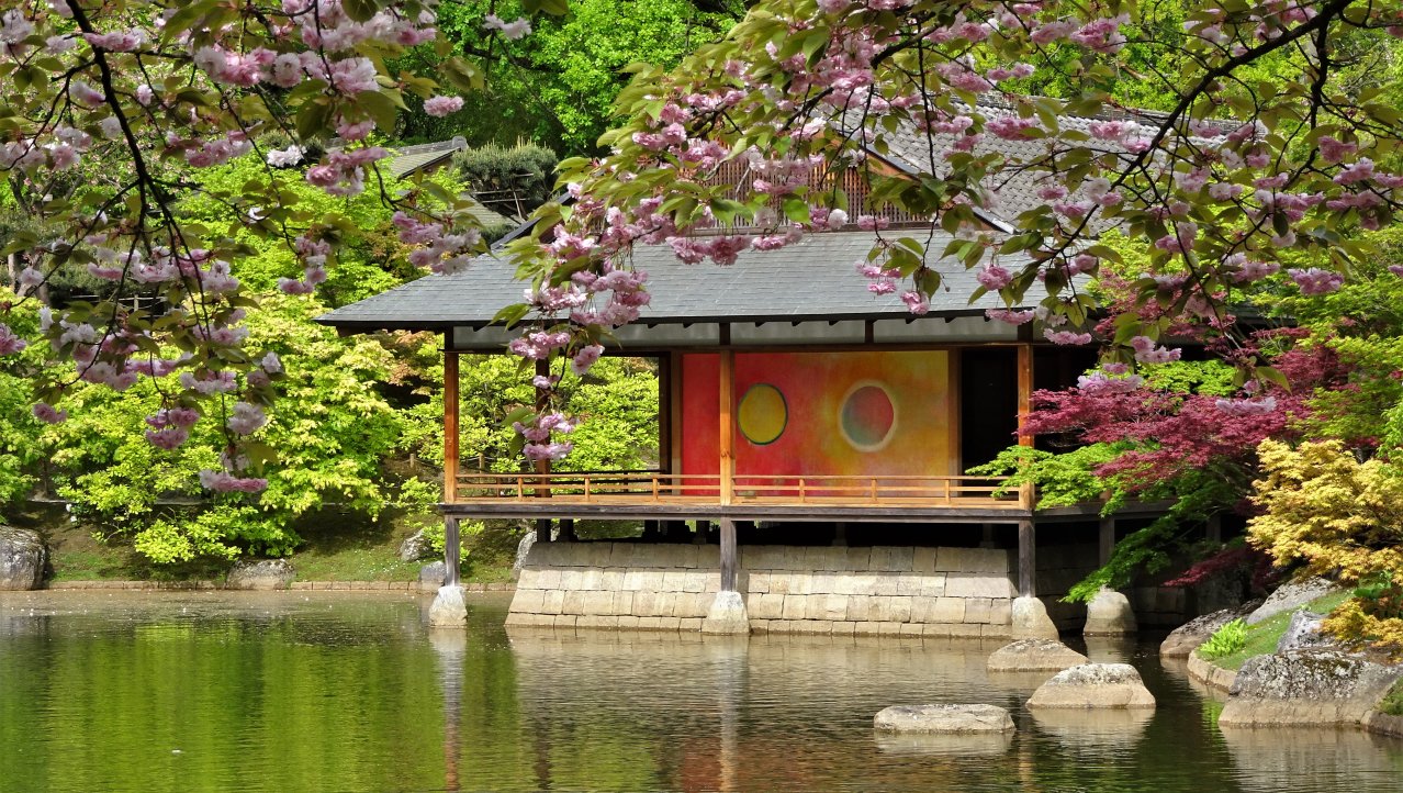 Japanse Tuin in Hasselt