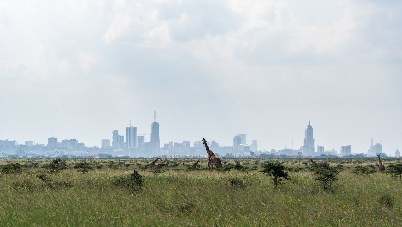 Op safari in Nairobi