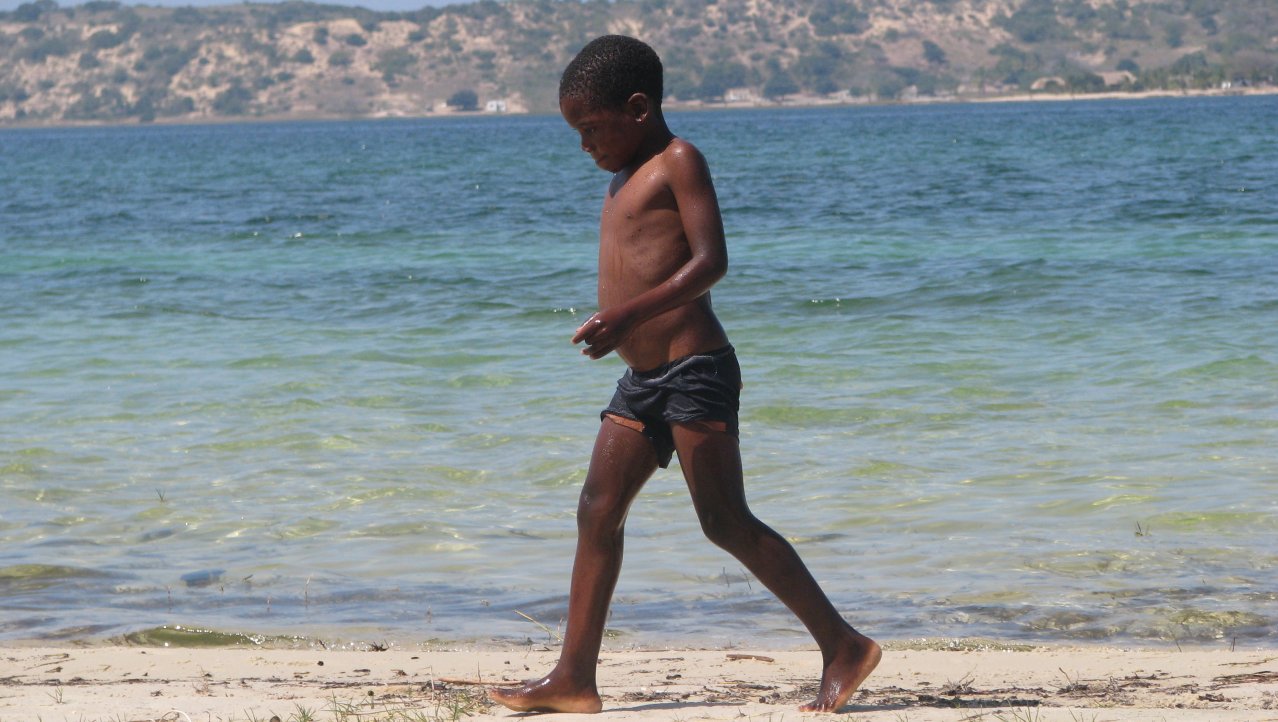 Mozambikaantje op het strand
