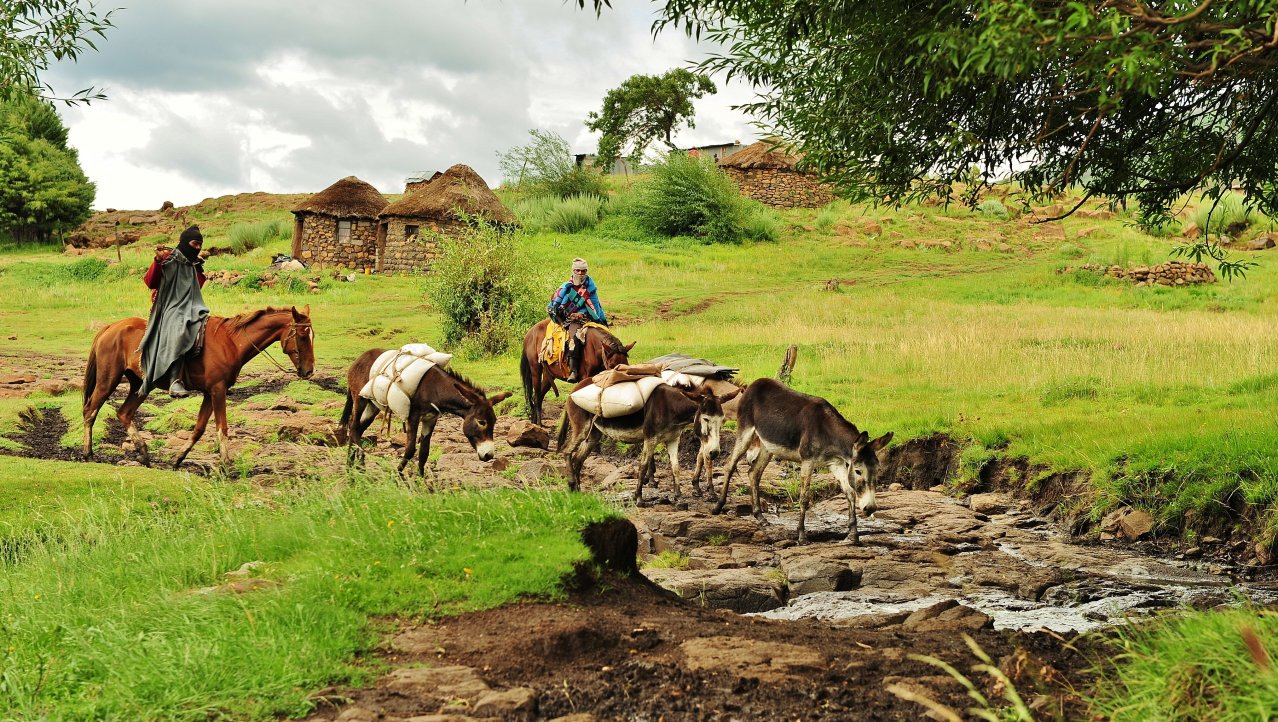 Pakezels in Lesotho