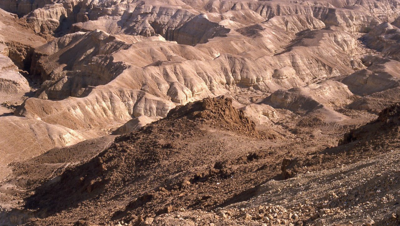 In de Negev