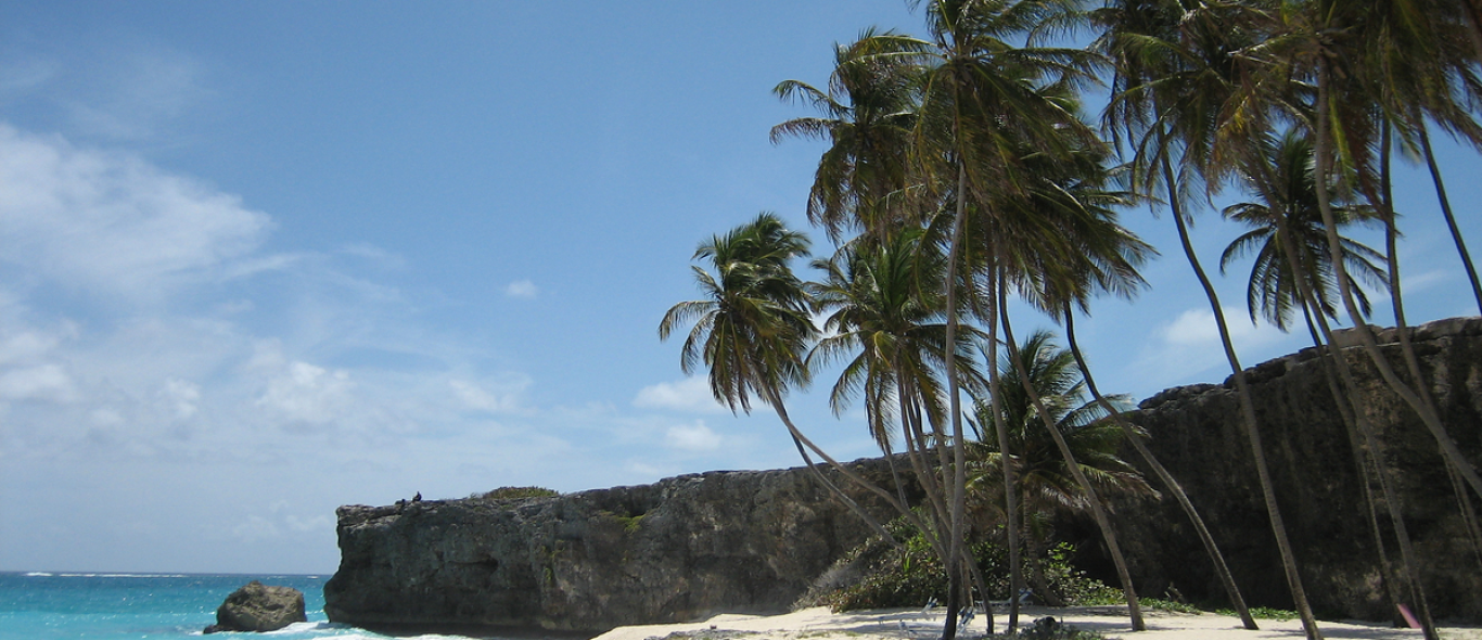 Westkust Barbados image