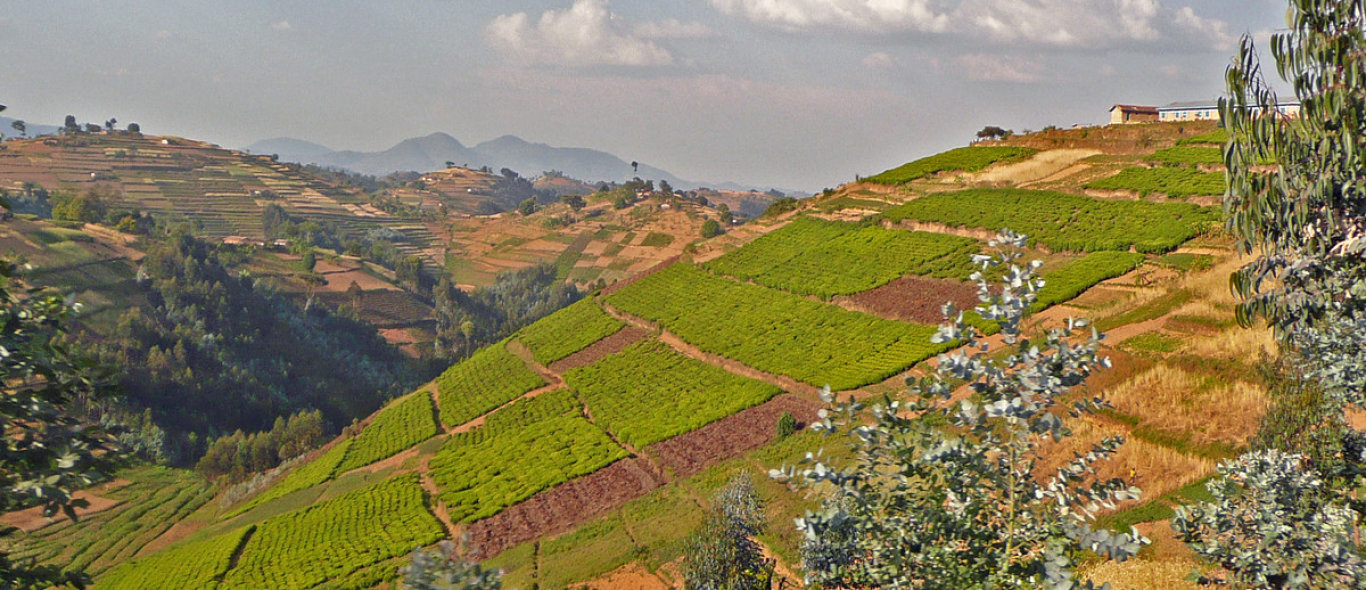 Kigali omgeving image