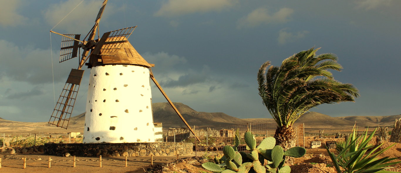 Fuerteventura image