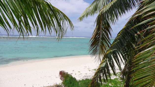 het strand en de branding van de cook islands