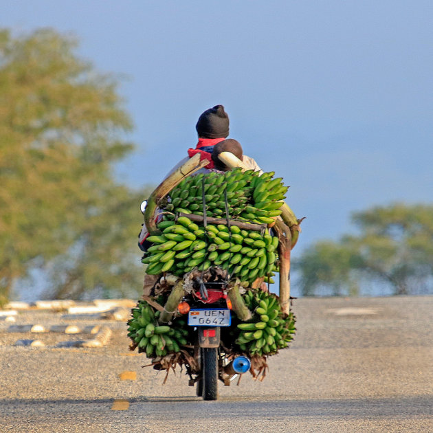 Bananen en nog eens bananen