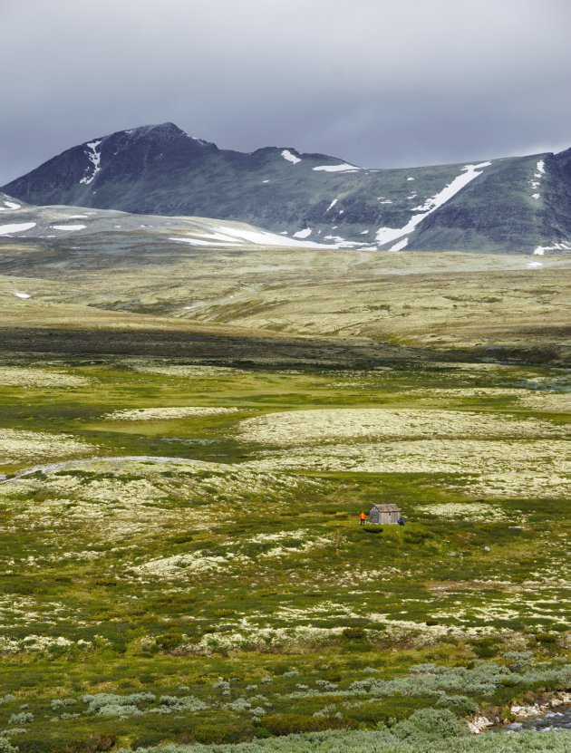 Rondane N.P.