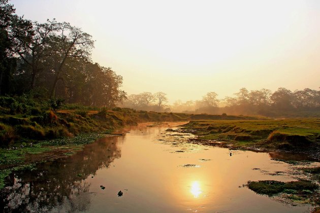 Chitwan early in the morning