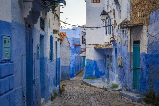 Rust in Chefchaouen