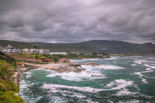 Hermanus, een trekpleister van formaat