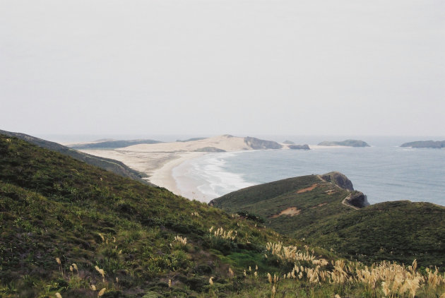 Cape Reinga