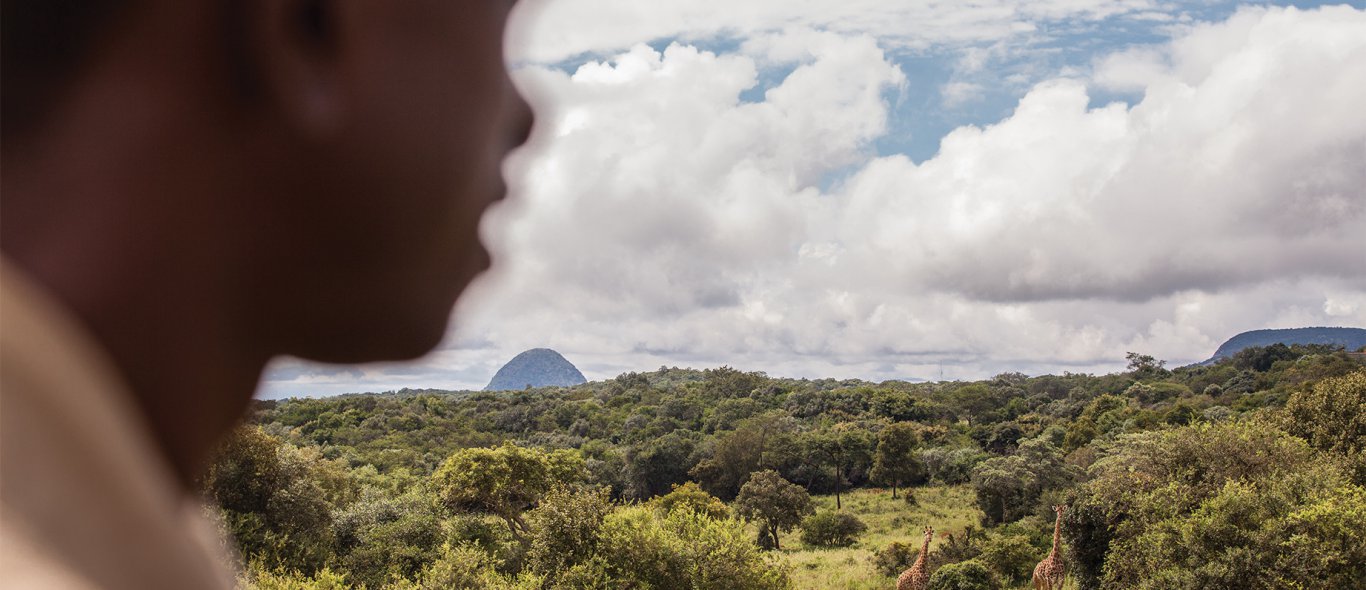 De ultieme wandelsafari van Zuid-Afrika image