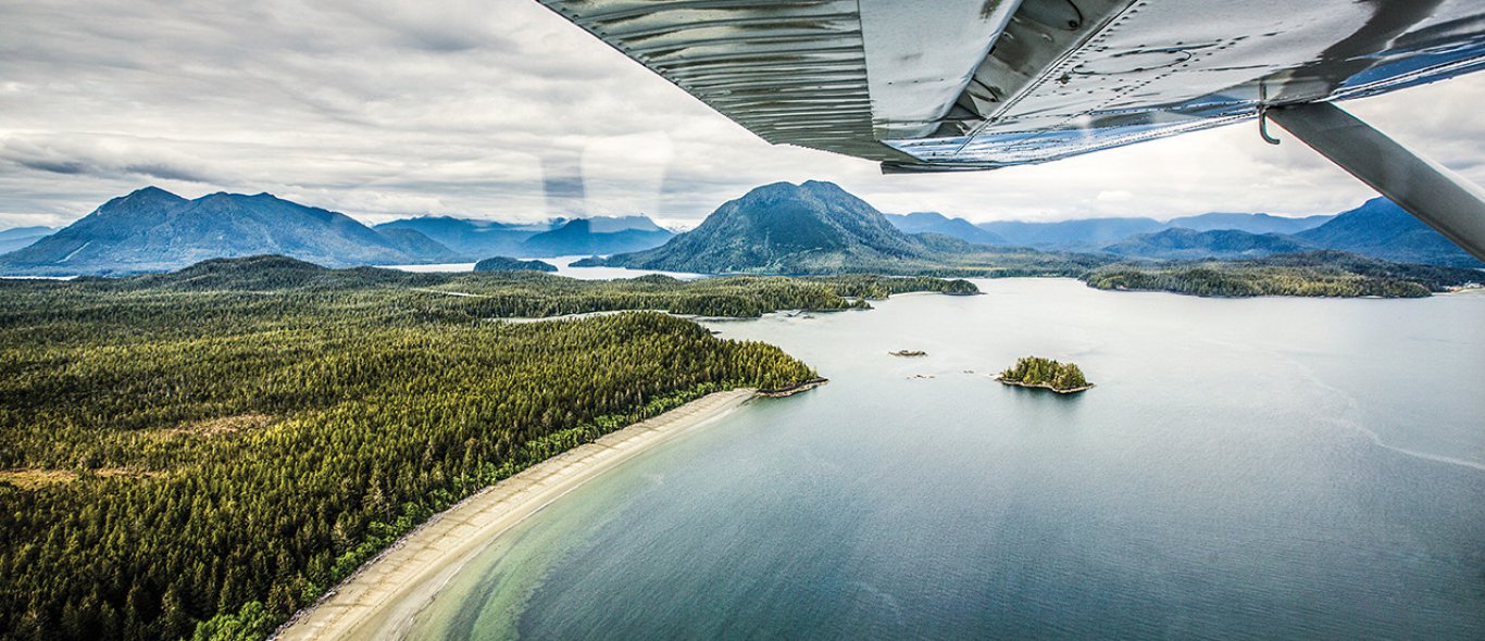 Into the wild: de verborgen wildernis van Vancouver Island image