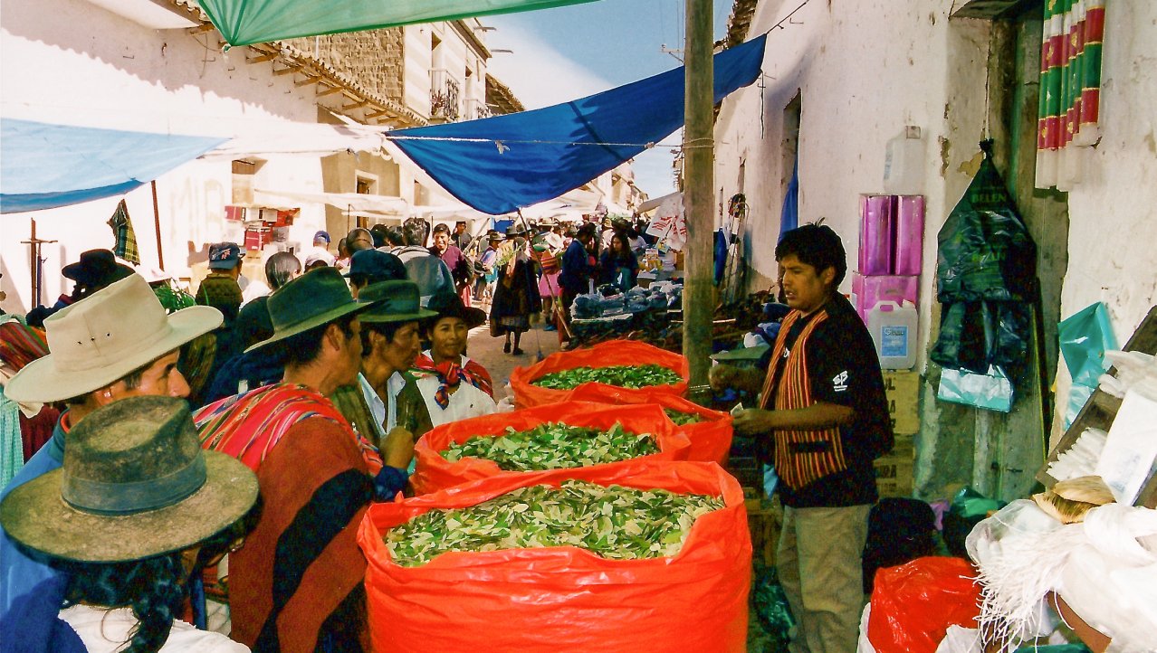 De verkoop van cocabladeren op de markt van Potosi