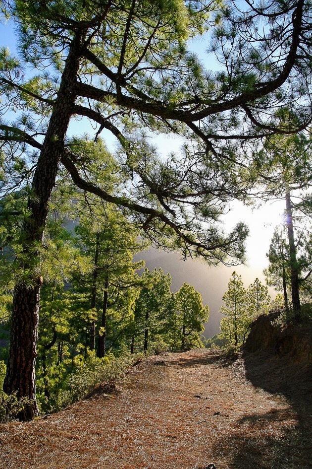 Wandelen op La Palma