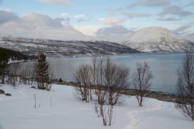 Winters fjord
