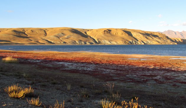 Manasarovar meer