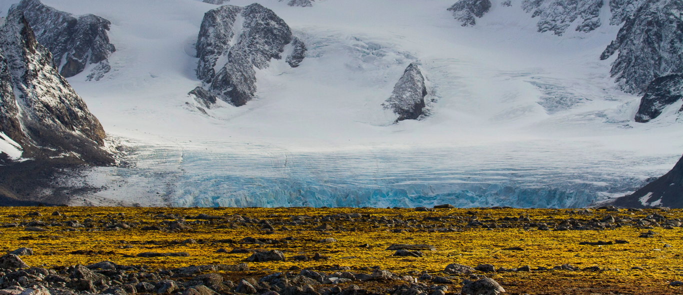 Sor Spitsbergen NP image