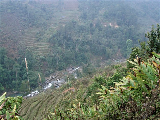 Rijst terrassen in Noord Vietnam.