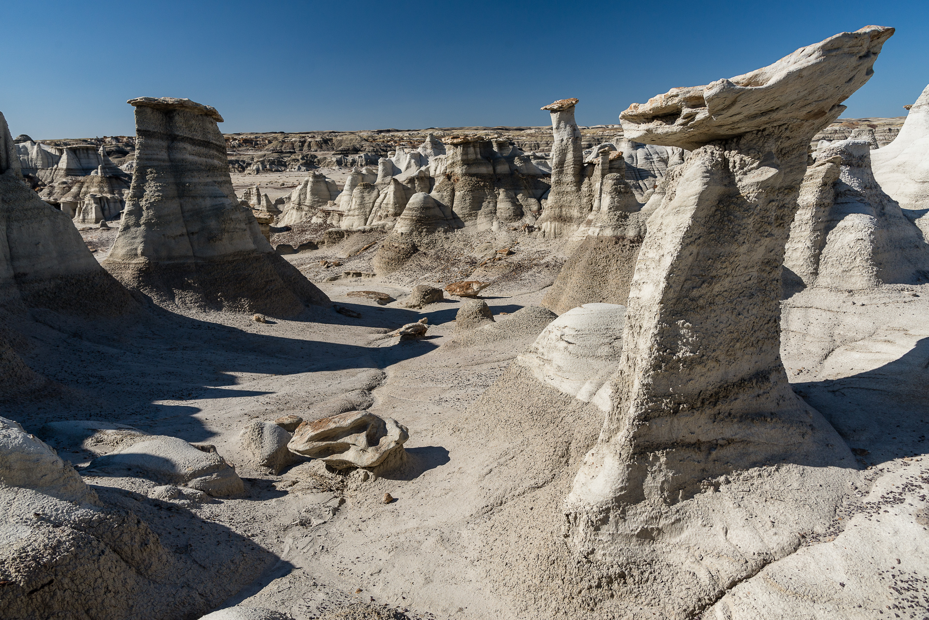 New Mexico Bisti Badlands Columbus Travel