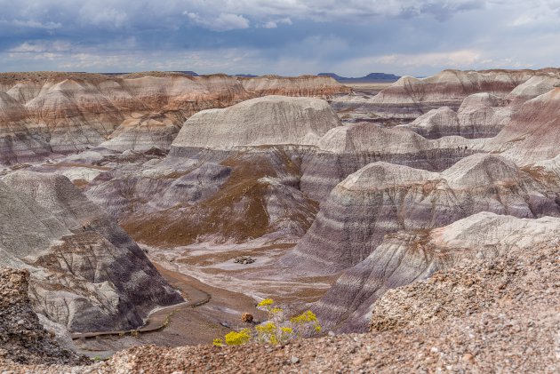 Blue Mesa Trail