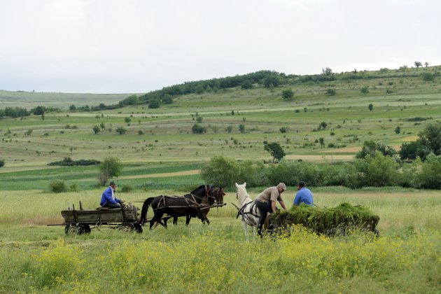 Weg van de snelweg