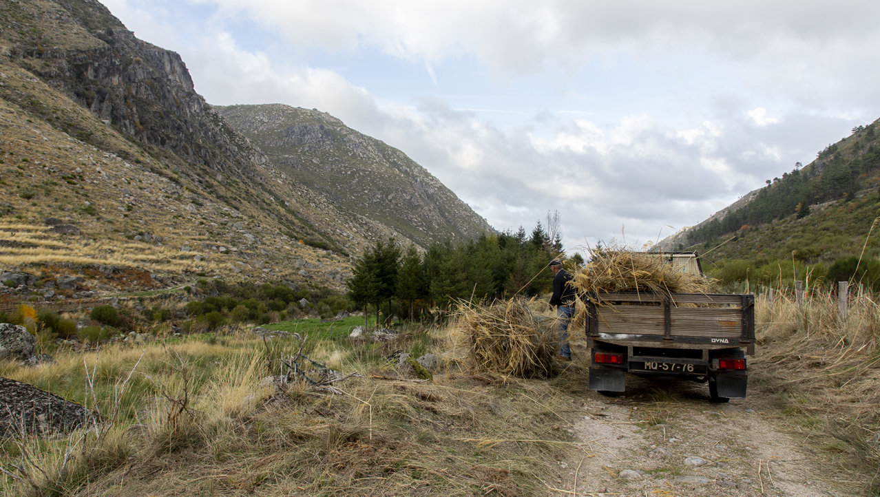 Een boer in Serra da Estrela