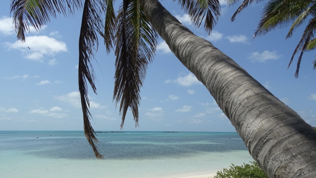 Bounty-island Relaxing, wild paradise
