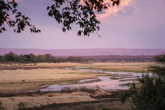 Zonsondergang boven het Krugerpark