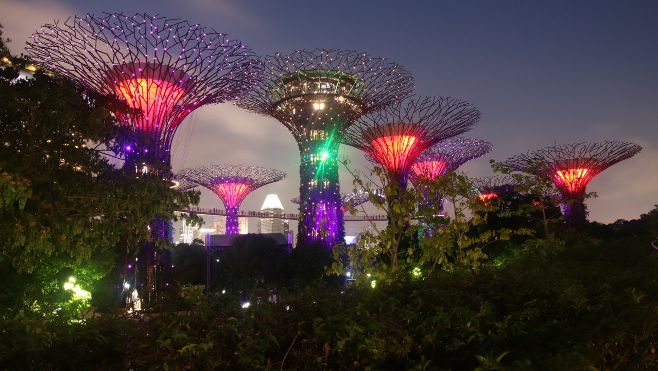 Gardens by the bay @ night