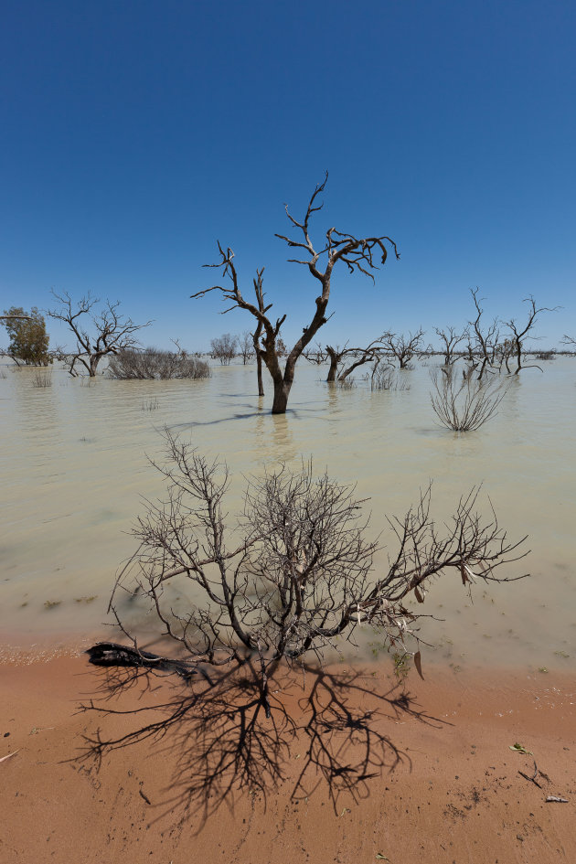 Kinchega NP in de outback van New South Wales