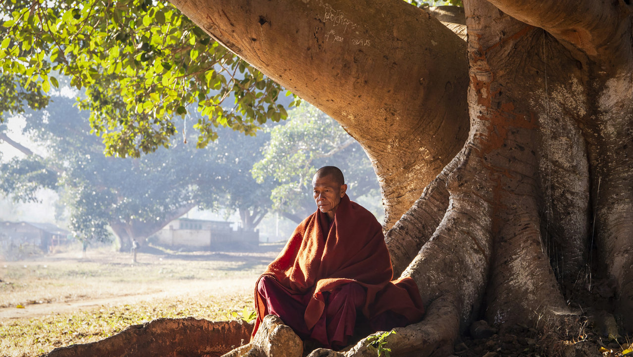 oude monnik onder een boom