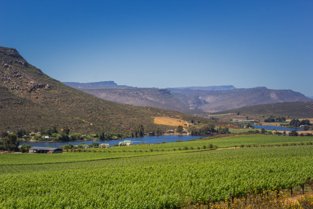 Onderweg naar Clanwilliam