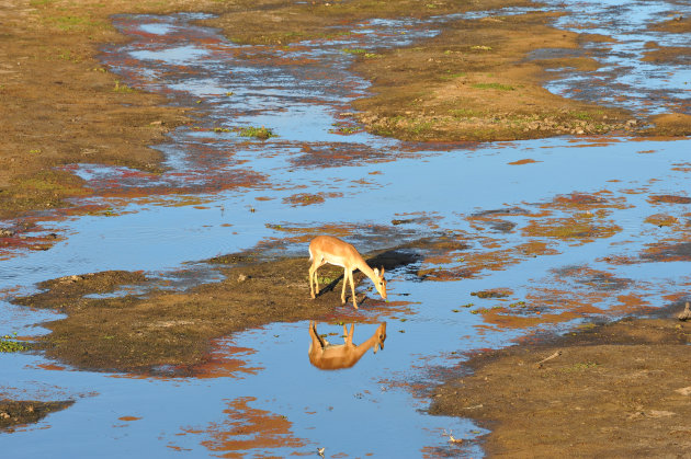 Kruger Park