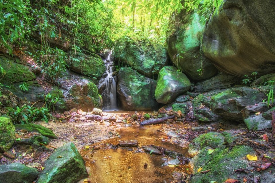 Wandeltochten - Floresta da Tijuca in Brazilië CREDIT Getty Images