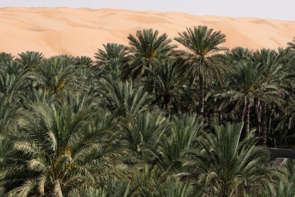 49-Oman- Wahiba Sands - CREDIT Tim Bilman