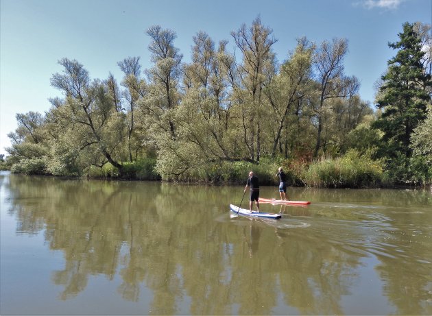 Biesboschverkenning langs het water met fluisterboot, kano of sup board