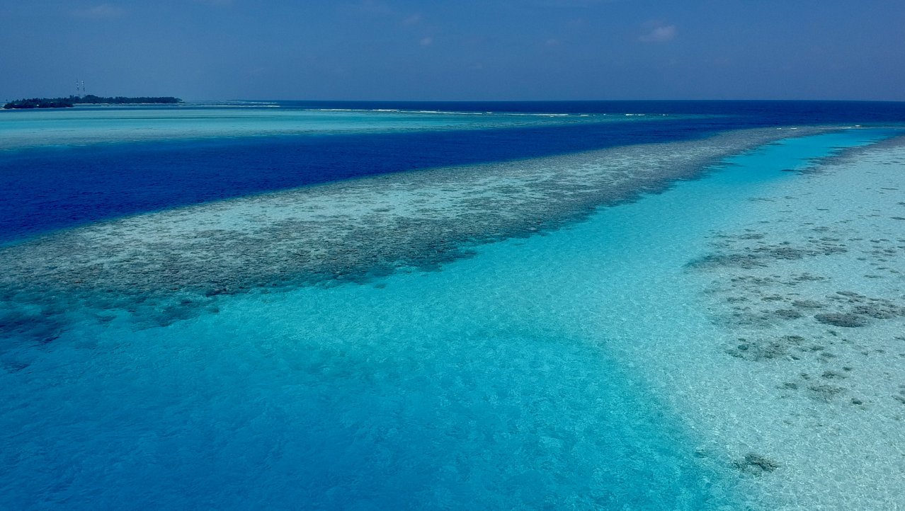 Maldives blue