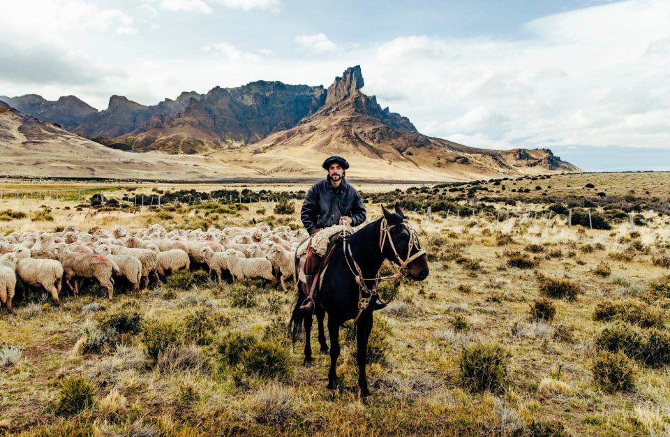 Populairste bestemmingen 2022: Argentinië. Foto: Pie Aerts