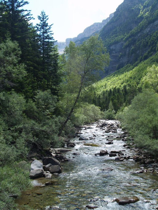 bergtroompje in Ordessa