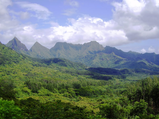 Moorea view