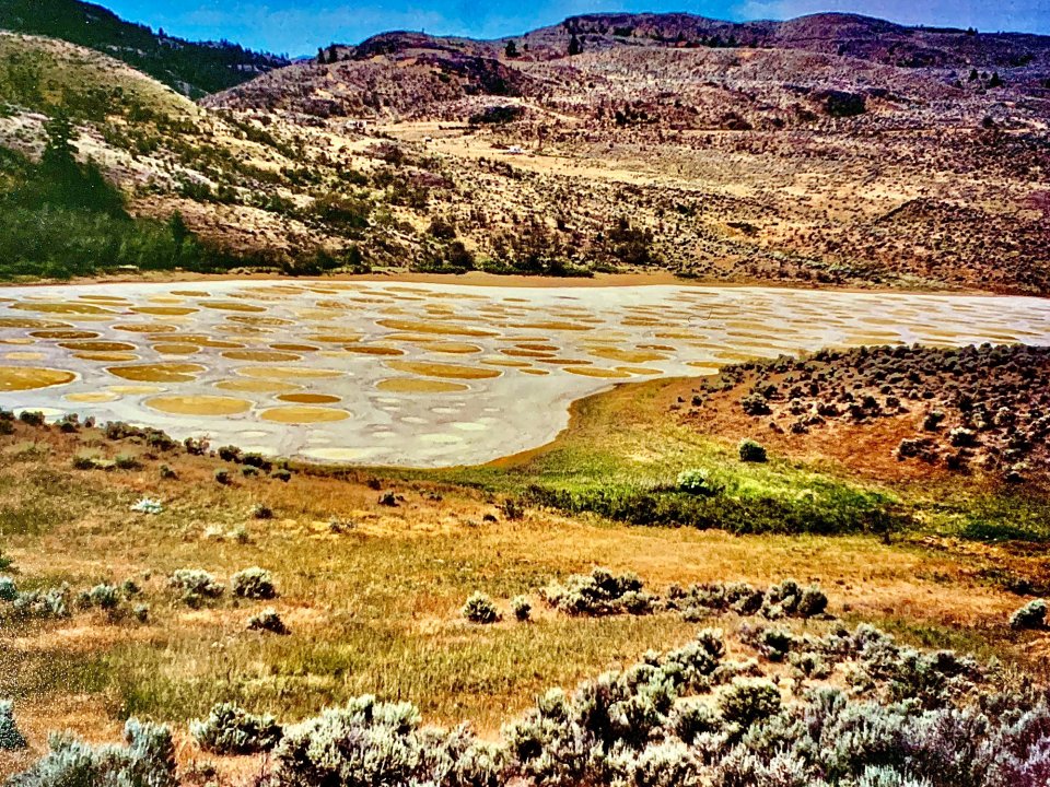 Spotted Lake in British Columbua, Canada. Foto: Getty Images