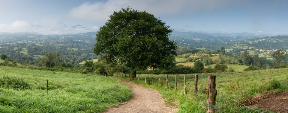 Camino Primitivo Asturie