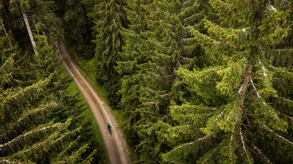 Ontdek prachtige fietsroutes door het Nationaal Park Schwarzwald; het Zwarte Woud. Foto: Tim Bilman