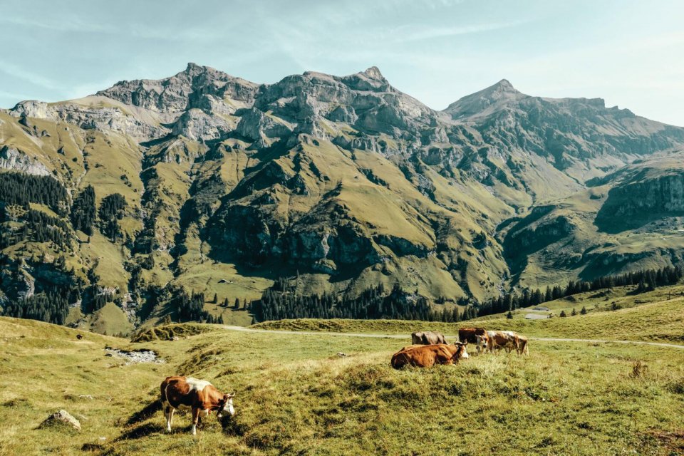 Uitzicht op de Griesalp, Zwitserland. Foto: Richard Lorenz/ Switzerland Tourism
