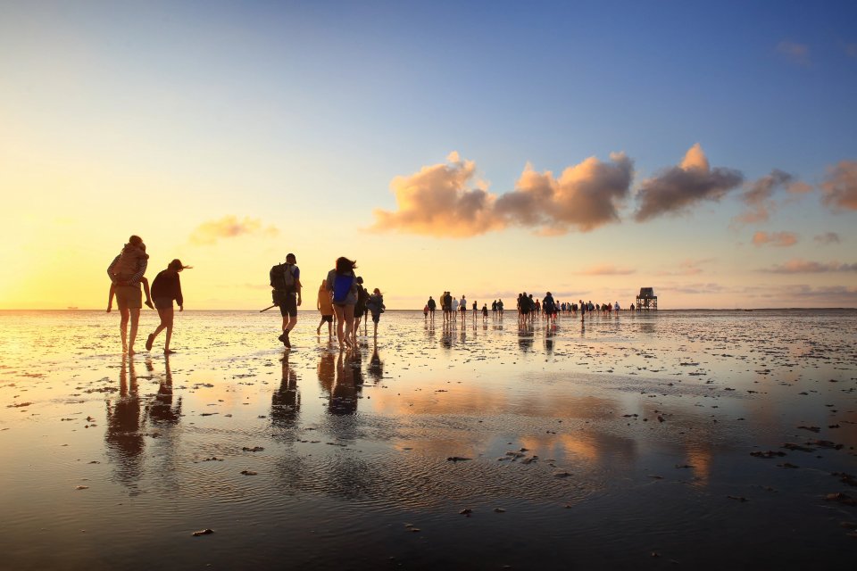 Rottummerplaat, Wadden. Foto: Gert-Jan Rodenboog