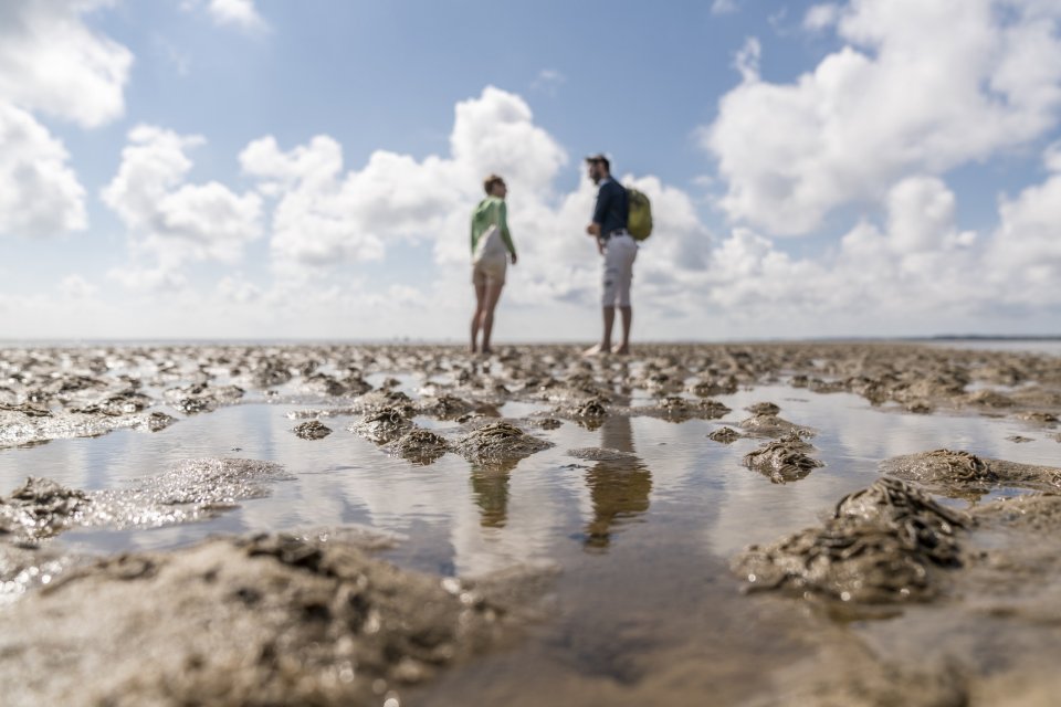 Waddenzee een van de grootste bezienswaardigheden van Nederland. Foto: Getty Images