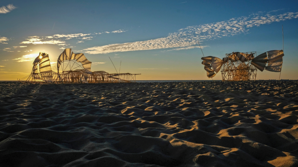 Meest bijzondere kunstwerken en musea in Nederland: Strandbeesten door Theo Jansen. Foto: ANP