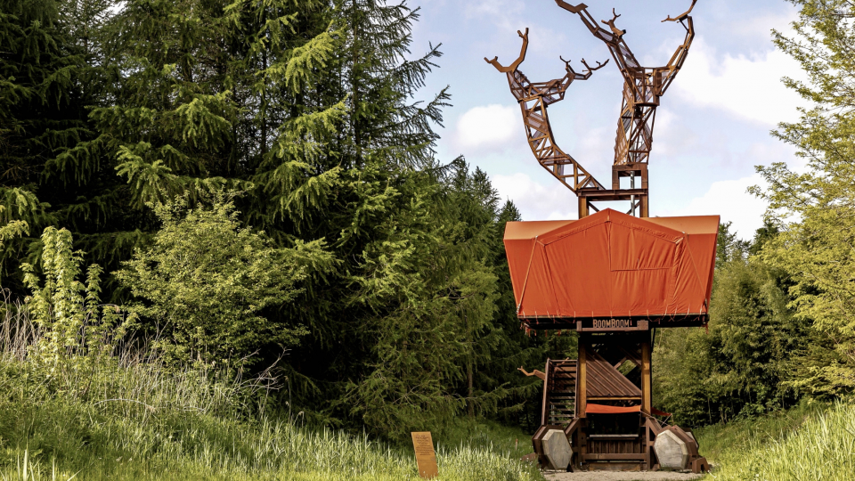 Op Netl Camping Kallumaan vind je een uniek verblijf zoals de BoomBoom. Een boomhut in Kraggenburg, Flevoland. Foto: Mark Arends