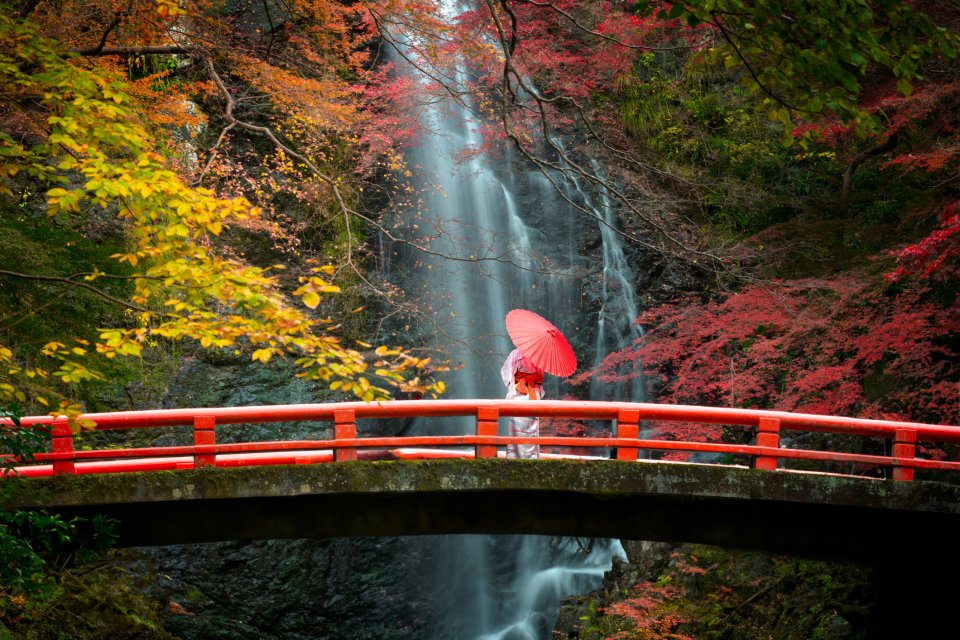 Japan is de populairste bestemming om deze herfst te bezoeken. Foto: Getty Images